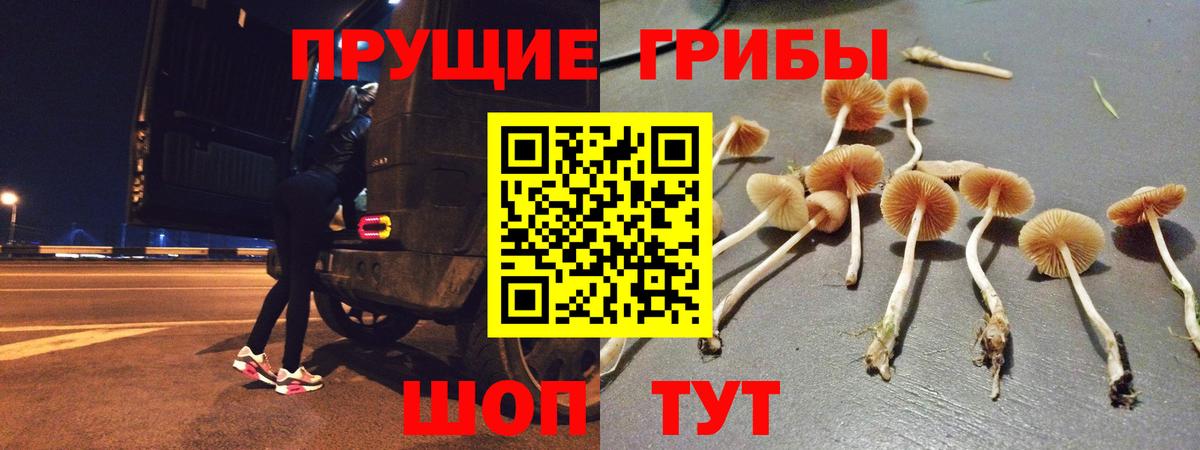 Галлюциногенные грибы Psilocybe  Вход с VPN  Артёмовский 